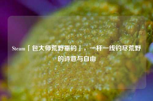 Steam「包大师荒野垂钓」，一杆一线钓尽荒野的诗意与自由