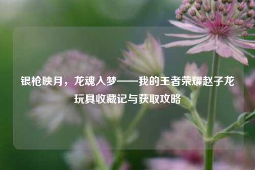 银枪映月，龙魂入梦——我的王者荣耀赵子龙玩具收藏记与获取攻略