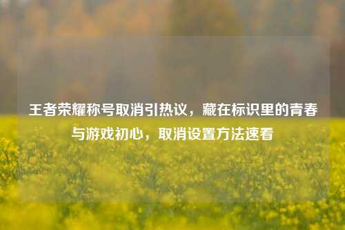 王者荣耀称号取消引热议,藏在标识里的青春与游戏初心,取消设置方法速看