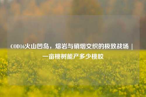 COD16火山凹岛，熔岩与硝烟交织的极致战场 | 一亩桃树能产多少桃胶
