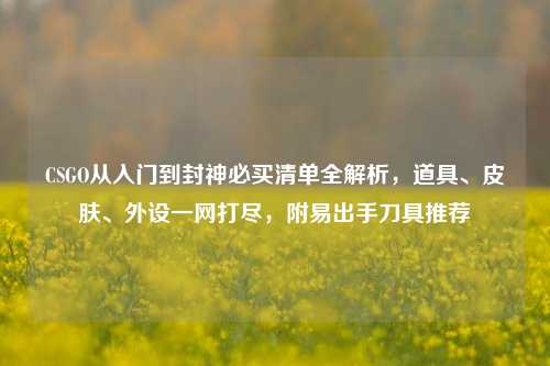 CSGO从入门到封神必买清单全解析,道具、皮肤、外设一网打尽,附易出手刀具推荐