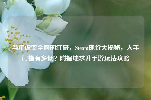 当年虐哭全网的缸哥,Steam现价大揭秘,入手门槛有多低?附掘地求升手游玩法攻略