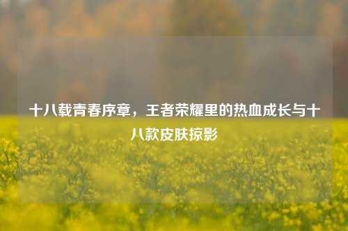 十八载青春序章，王者荣耀里的热血成长与十八款皮肤掠影