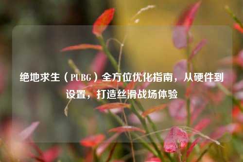 绝地求生(PUBG)全方位优化指南,从硬件到设置,打造丝滑战场体验