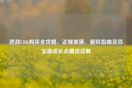 逆战CDK购买全攻略，正规渠道、避坑指南及百宝箱成长点赠送详解