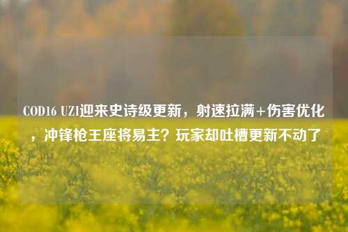 COD16 UZI迎来史诗级更新,射速拉满+伤害优化,冲锋枪王座将易主?玩家却吐槽更新不动了