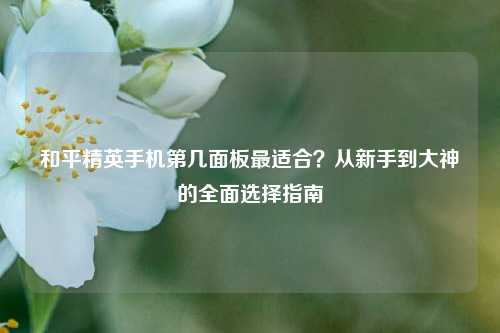 和平精英手机第几面板最适合?从新手到大神的全面选择指南
