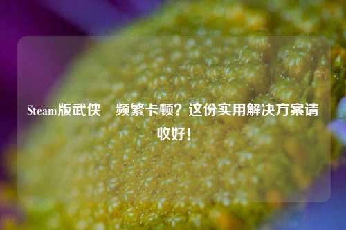 Steam版武侠乂频繁卡顿？这份实用解决方案请收好！