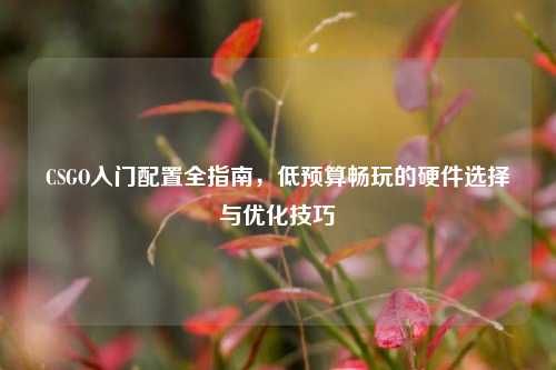 CSGO入门配置全指南，低预算畅玩的硬件选择与优化技巧