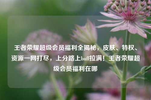 王者荣耀超级会员福利全揭秘,皮肤、特权、资源一网打尽,上分路上buff拉满!王者荣耀超级会员福利在哪