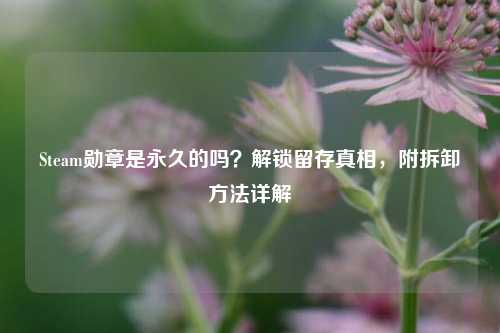 Steam勋章是永久的吗?解锁留存真相,附拆卸方法详解