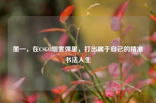 墨一，在CSGO烟雾弹里，打出属于自己的精准书法人生