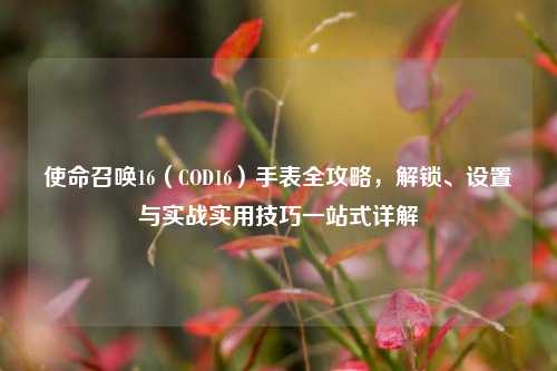 使命召唤16（COD16）手表全攻略，解锁、设置与实战实用技巧一站式详解