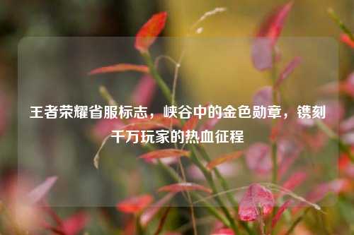 王者荣耀省服标志,峡谷中的金色勋章,镌刻千万玩家的热血征程
