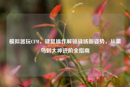 模拟器玩CFM，键鼠操作解锁战场新姿势，从菜鸟到大神进阶全指南
