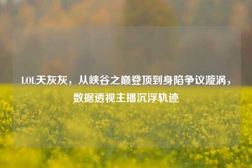 LOL天灰灰,从峡谷之巅登顶到身陷争议漩涡,数据透视主播沉浮轨迹