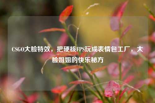 CSGO大脸特效,把硬核FPS玩成表情包工厂,大脸姐姐的快乐秘方