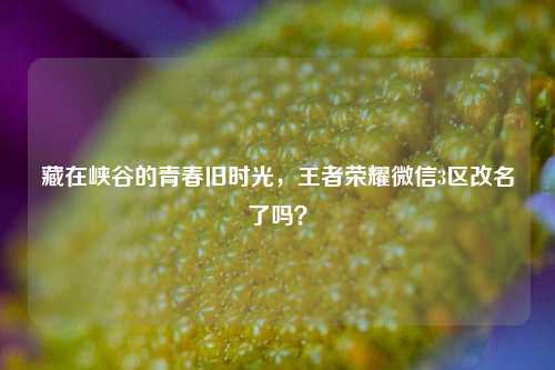 藏在峡谷的青春旧时光,王者荣耀微信3区改名了吗?