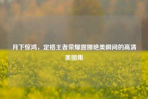 月下惊鸿,定格王者荣耀露娜绝美瞬间的高清美图集