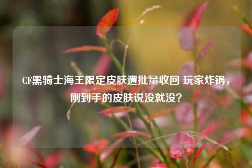 CF黑骑士海王限定皮肤遭批量收回 玩家炸锅,刚到手的皮肤说没就没?
