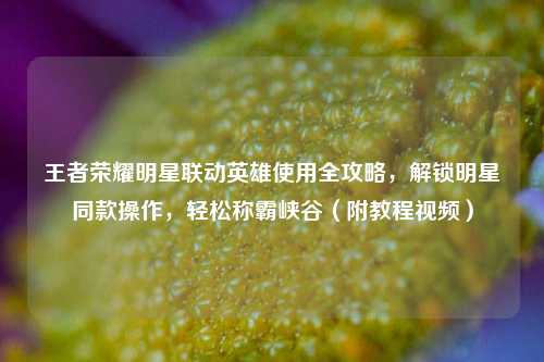 王者荣耀明星联动英雄使用全攻略，解锁明星同款操作，轻松称霸峡谷（附教程视频）
