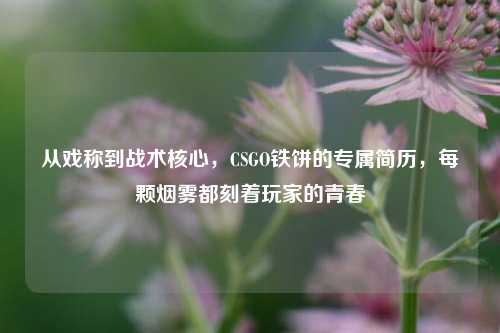 从戏称到战术核心，CSGO铁饼的专属简历，每颗烟雾都刻着玩家的青春