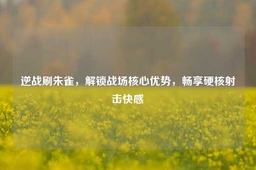 逆战刷朱雀,解锁战场核心优势,畅享硬核射击快感