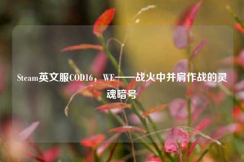 Steam英文服COD16,WE——战火中并肩作战的灵魂暗号