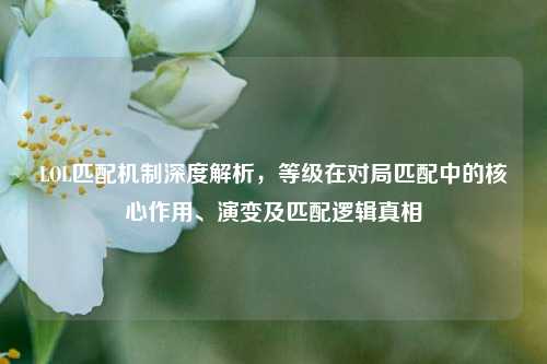 LOL匹配机制深度解析,等级在对局匹配中的核心作用、演变及匹配逻辑真相