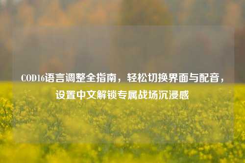 COD16语言调整全指南,轻松切换界面与配音,设置中文解锁专属战场沉浸感