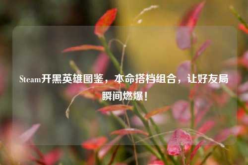 Steam开黑英雄图鉴,本命搭档组合,让好友局瞬间燃爆!