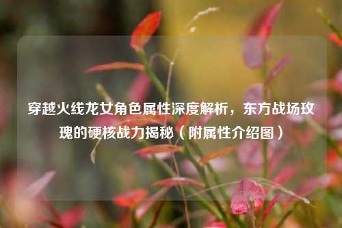 穿越火线龙女角色属性深度解析，东方战场玫瑰的硬核战力揭秘（附属性介绍图）