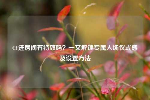 CF进房间有特效吗？一文解锁专属入场仪式感及设置方法