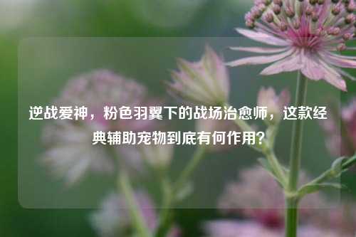 逆战爱神，粉色羽翼下的战场治愈师，这款经典辅助宠物到底有何作用？