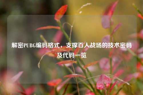 解密PUBG编码格式，支撑百人战场的技术密码及代码一览