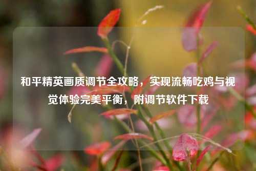 和平精英画质调节全攻略，实现流畅吃鸡与视觉体验完美平衡，附调节软件下载