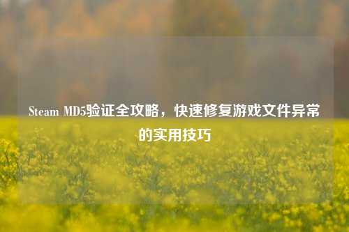 Steam MD5验证全攻略,快速修复游戏文件异常的实用技巧