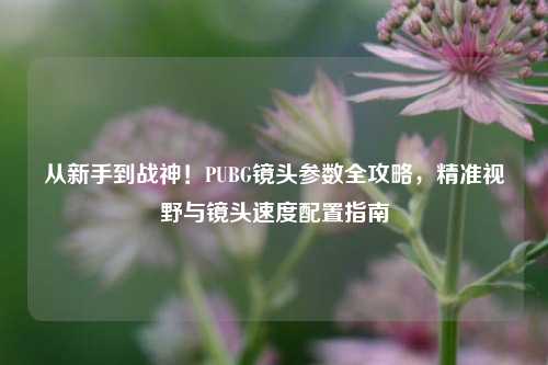 从新手到战神！PUBG镜头参数全攻略，精准视野与镜头速度配置指南