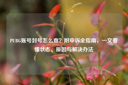 PUBG账号封号怎么查?附申诉全指南,一文看懂状态、原因与解决办法
