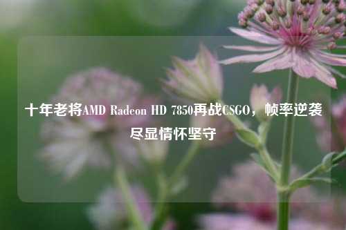 十年老将AMD Radeon HD 7850再战CSGO，帧率逆袭尽显情怀坚守