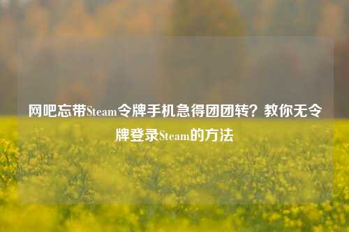 网吧忘带Steam令牌手机急得团团转？教你无令牌登录Steam的方法