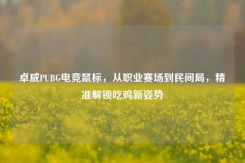 卓威PUBG电竞鼠标，从职业赛场到民间局，精准解锁吃鸡新姿势