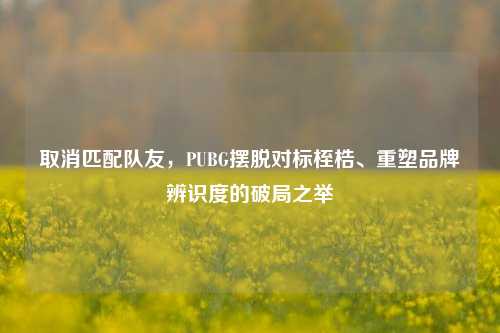 取消匹配队友,PUBG摆脱对标桎梏、重塑品牌辨识度的破局之举