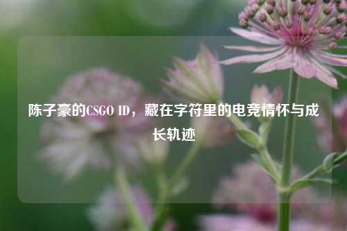 陈子豪的CSGO ID,藏在字符里的电竞情怀与成长轨迹