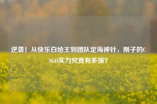 逆袭!从快乐白给王到团队定海神针,刚子的CSGO实力究竟有多强?