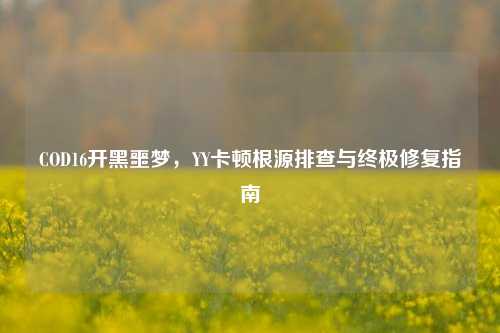 COD16开黑噩梦,YY卡顿根源排查与终极修复指南