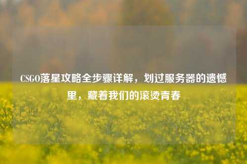 CSGO落星攻略全步骤详解,划过服务器的遗憾里,藏着我们的滚烫青春