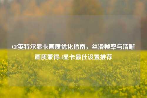 CF英特尔显卡画质优化指南,丝滑帧率与清晰画质兼得cf显卡最佳设置推荐