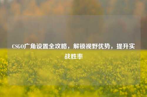 CSGO广角设置全攻略,解锁视野优势,提升实战胜率