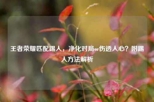王者荣耀匹配踢人,净化对局or伤透人心?附踢人方法解析